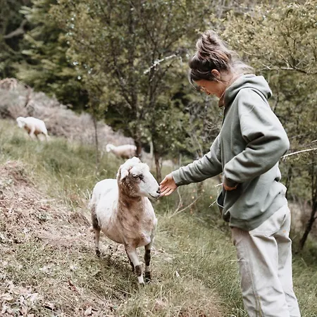 Διαμέρισμα Auszeit Am Kreisbach *